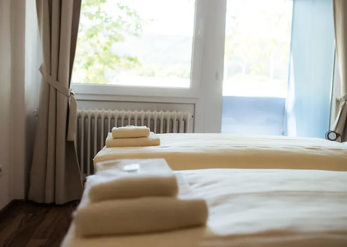 ホテル Ft フライブルク