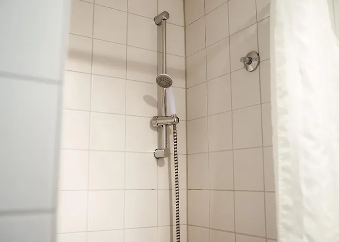 Ft * フライブルク